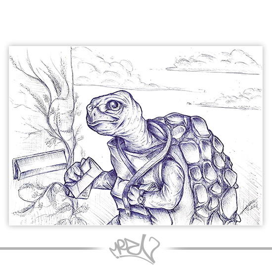 Schildpad Schildpad