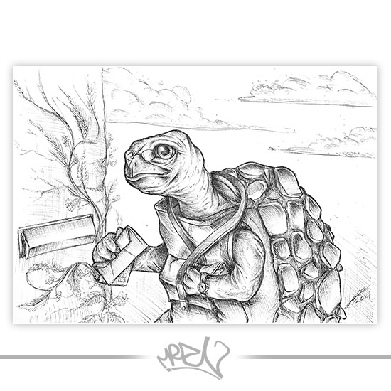 Schildpad Schildpad