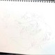 Haai Haai