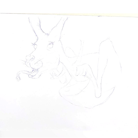 Kangaroe