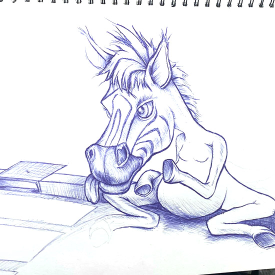 Zebra