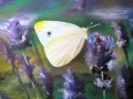 illustratie-11